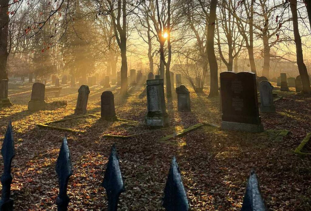 Friedhof